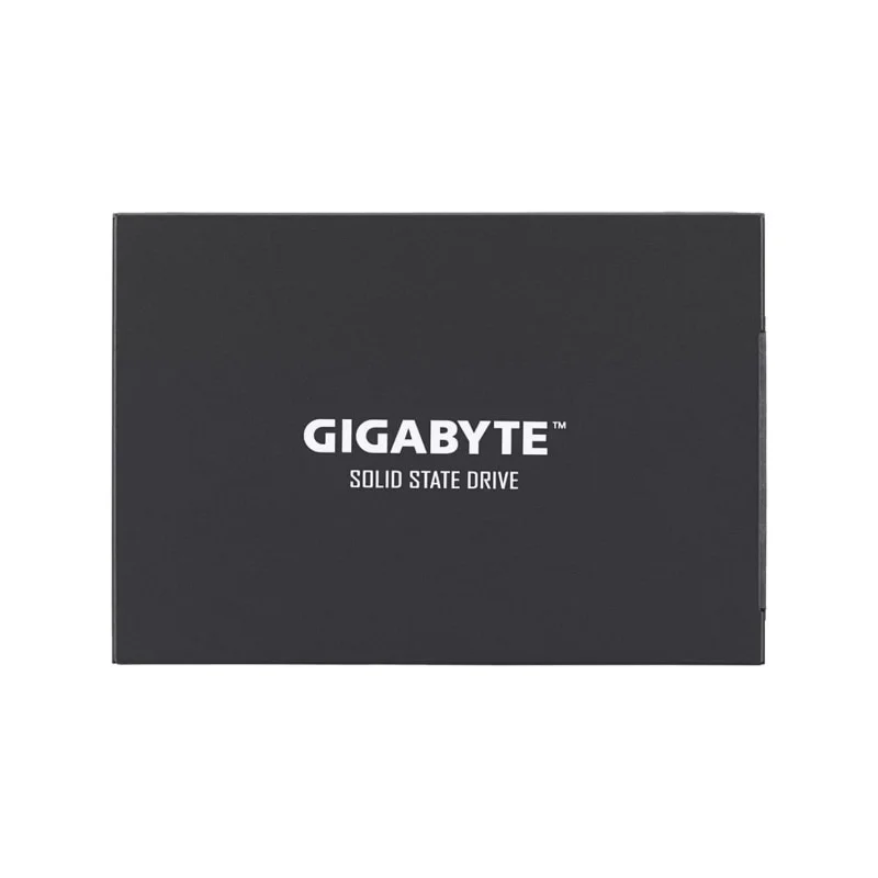 حافظه SSD گیگابایت GP-GSTFS31120GNTD 120GB